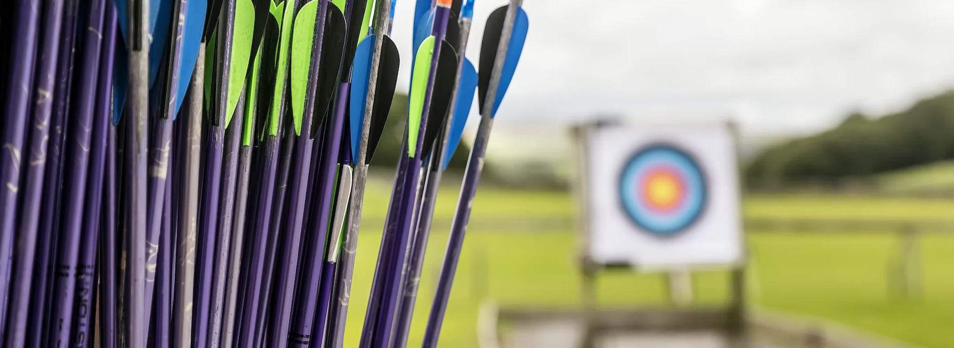 Archery arrows and target